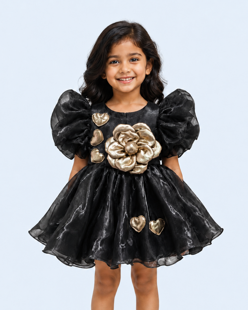 Party Ready Frocks